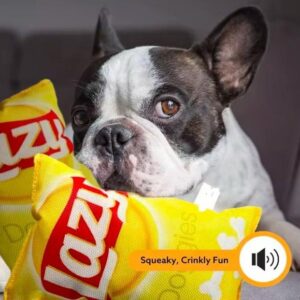 Juguete - Bolsa de patatas fritas