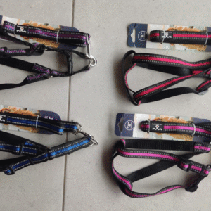 Pechera y Correa para perros