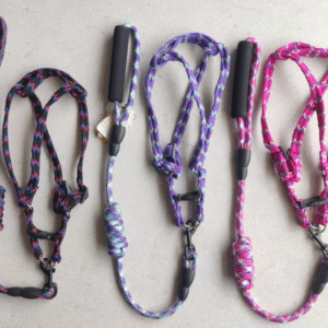 Correa para perro T3