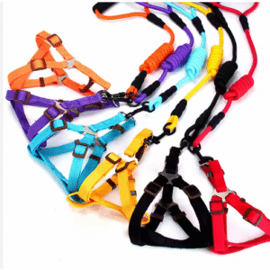 Pechera Colores T1-2-3-4