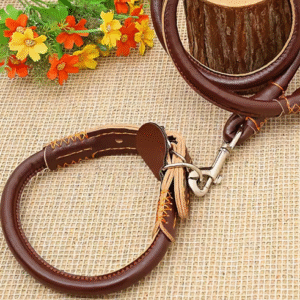 Collar y Correa Cuero G