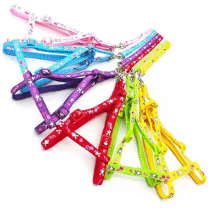 Pechera Diseños T1-2-3-4