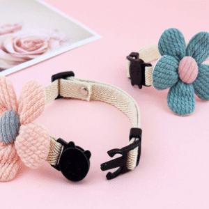 Collar de Gato Flor