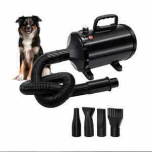 Secador de pelo profesional